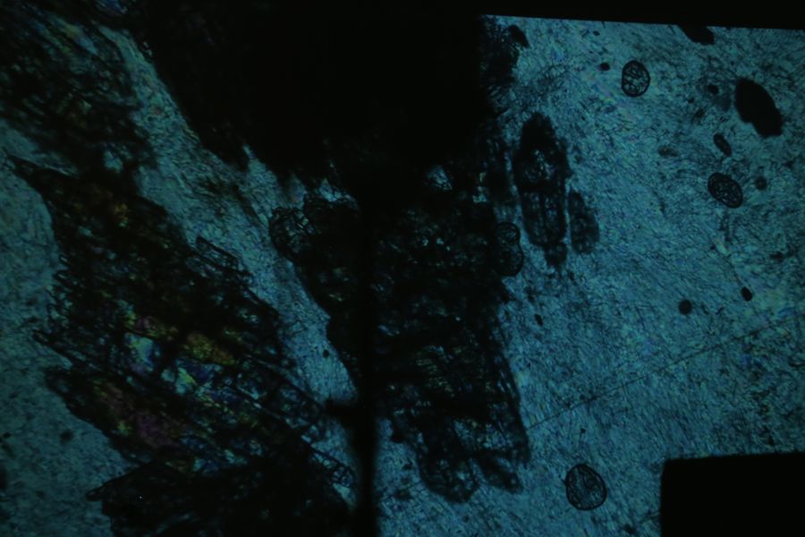 Projections, work 5